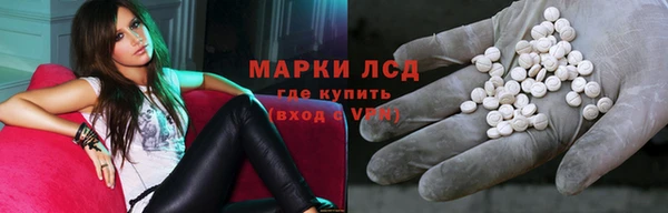 ГАЛЛЮЦИНОГЕННЫЕ ГРИБЫ Алексин