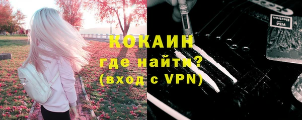 ГАЛЛЮЦИНОГЕННЫЕ ГРИБЫ Алексин