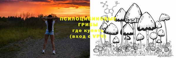 прущий лед Алексеевка