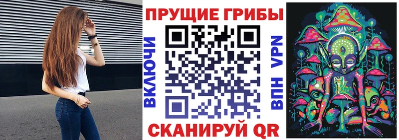 Псилоцибиновые грибы мухоморы  blacksprut онион  Шумиха  наркотики 
